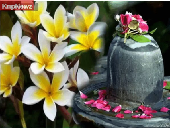 भगवान को क्यों अर्पित किये जाते हैं फूल? 6 भगवान को क्यों अर्पित किये जाते हैं फूल?