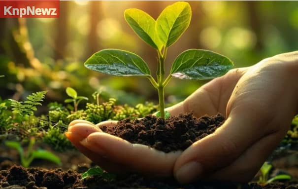 100 यज्ञों के बराबर पुण्य देता है सिर्फ एक पौधा!
