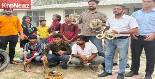 8 सौ किमी दूर से कानपुर पहुंच नाटक मंडली से छुड़वाएं खतरनाक सांप 8 8 सौ किमी दूर से कानपुर पहुंच नाटक मंडली से छुड़वाएं खतरनाक सांप