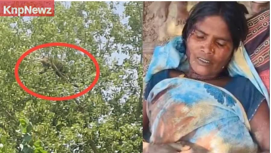 पत्नी को मौत के मुंह से खींच लाया पति 6 पत्नी को मौत के मुंह से खींच लाया पति